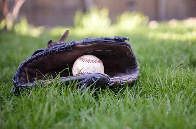 baseball-glove